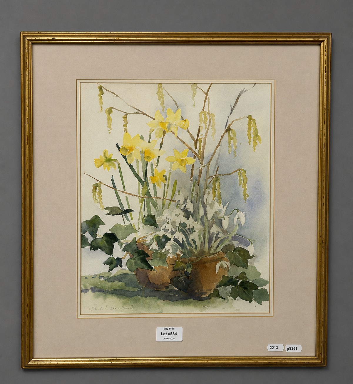 Lot 584