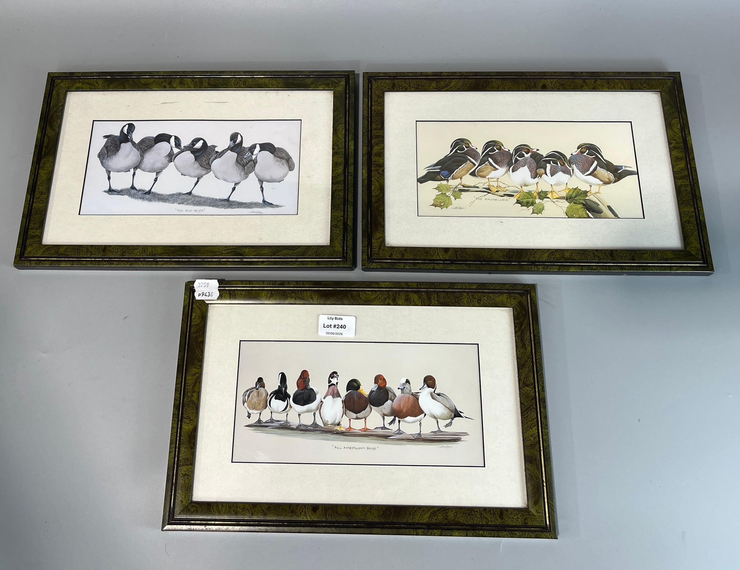 Lot 240