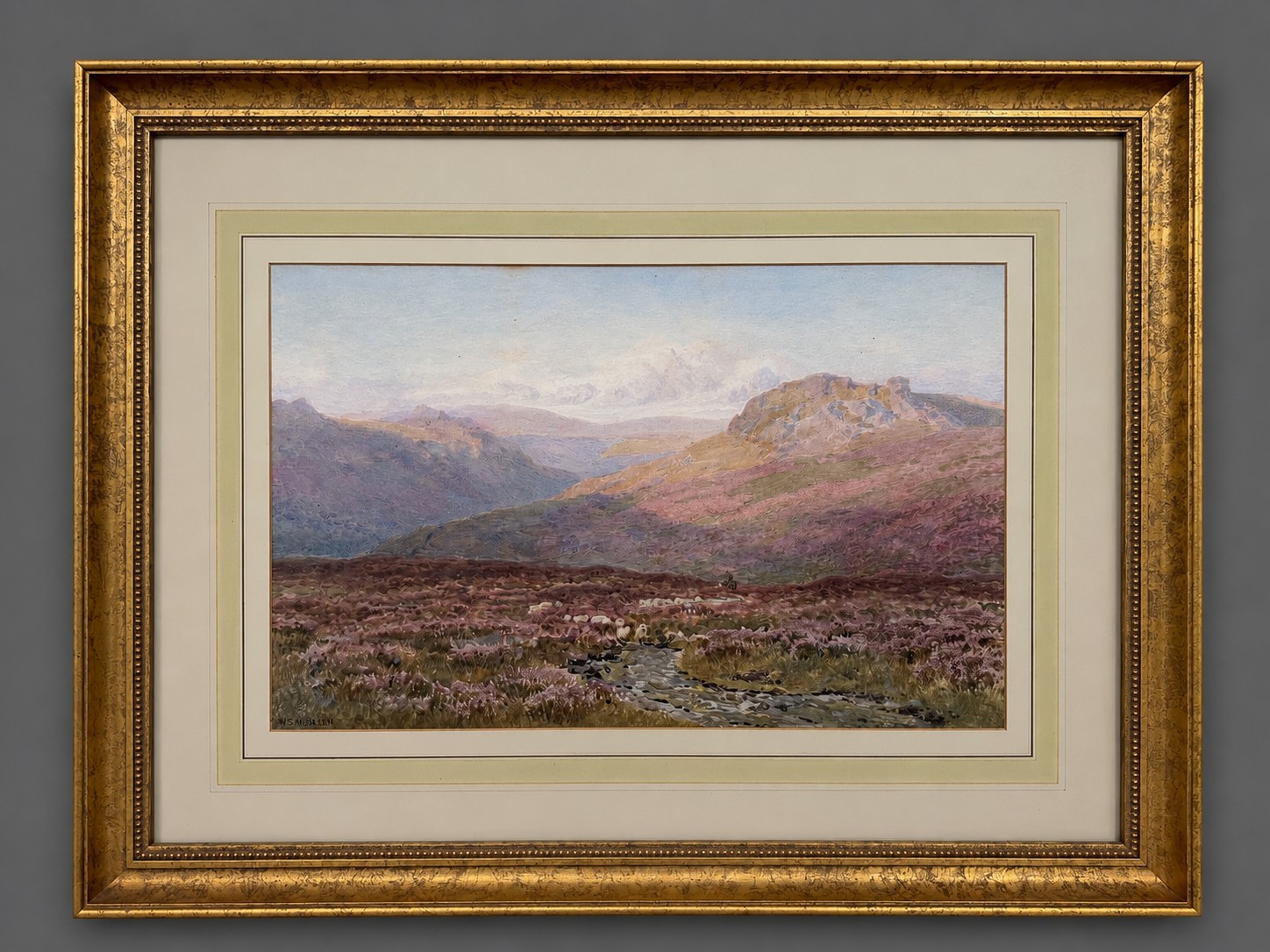Lot 570