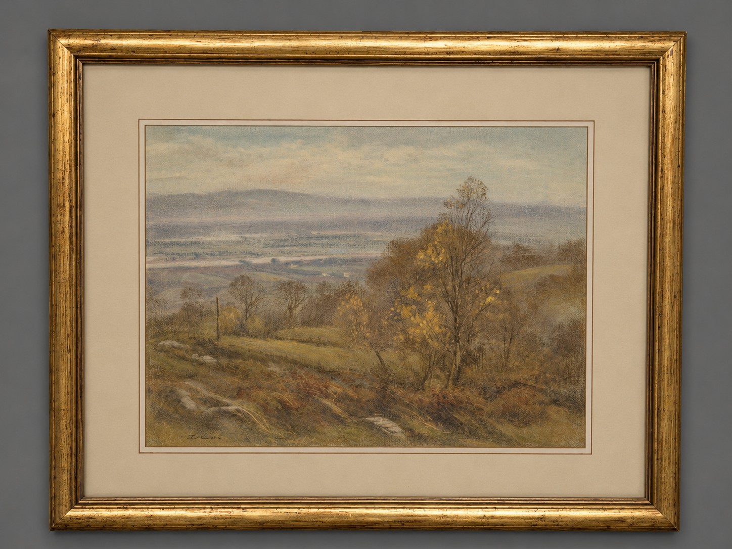 Lot 571
