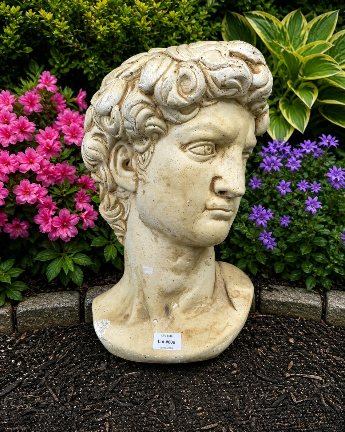 Lot 660