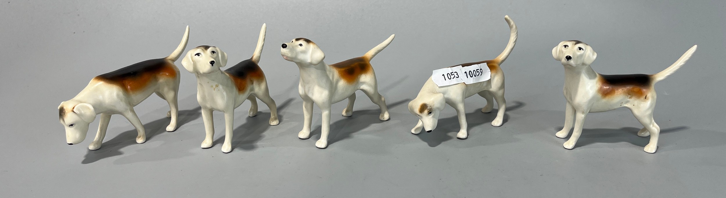 Lot 262