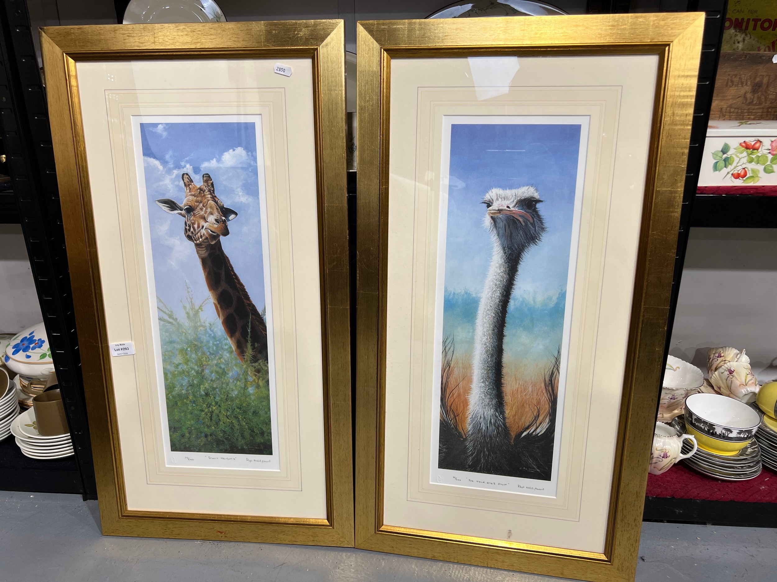 Lot 293