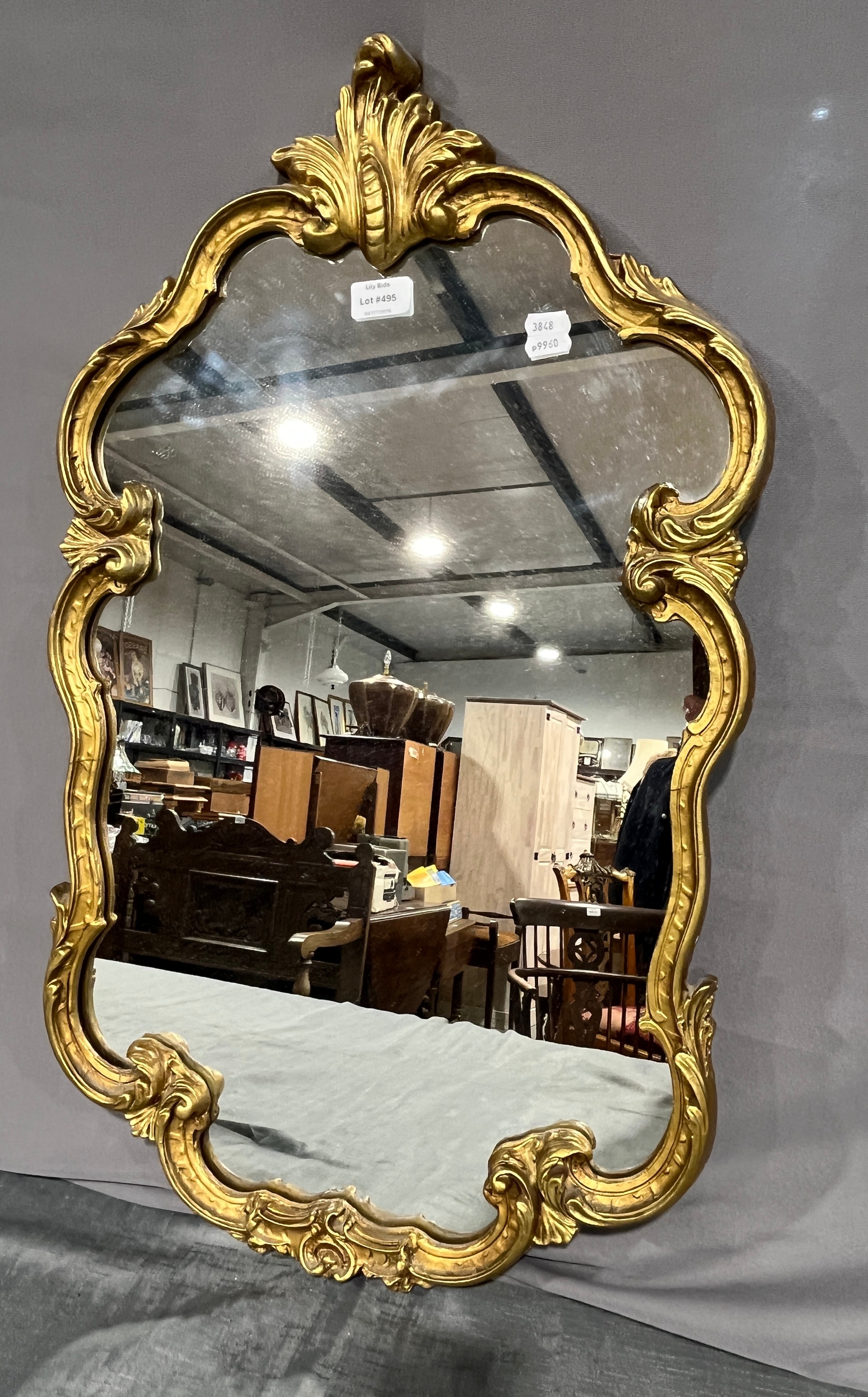 Lot 495