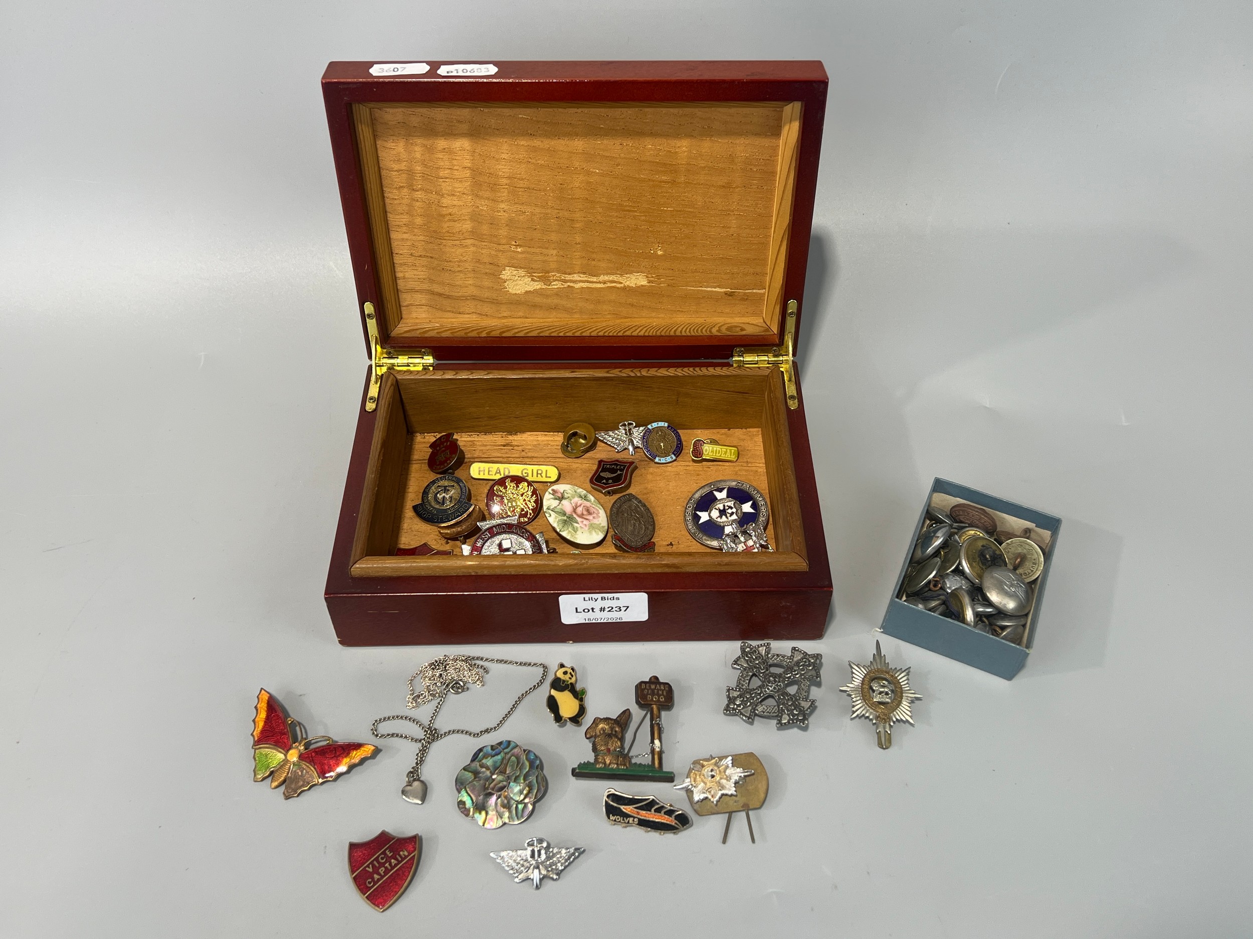 Lot 237
