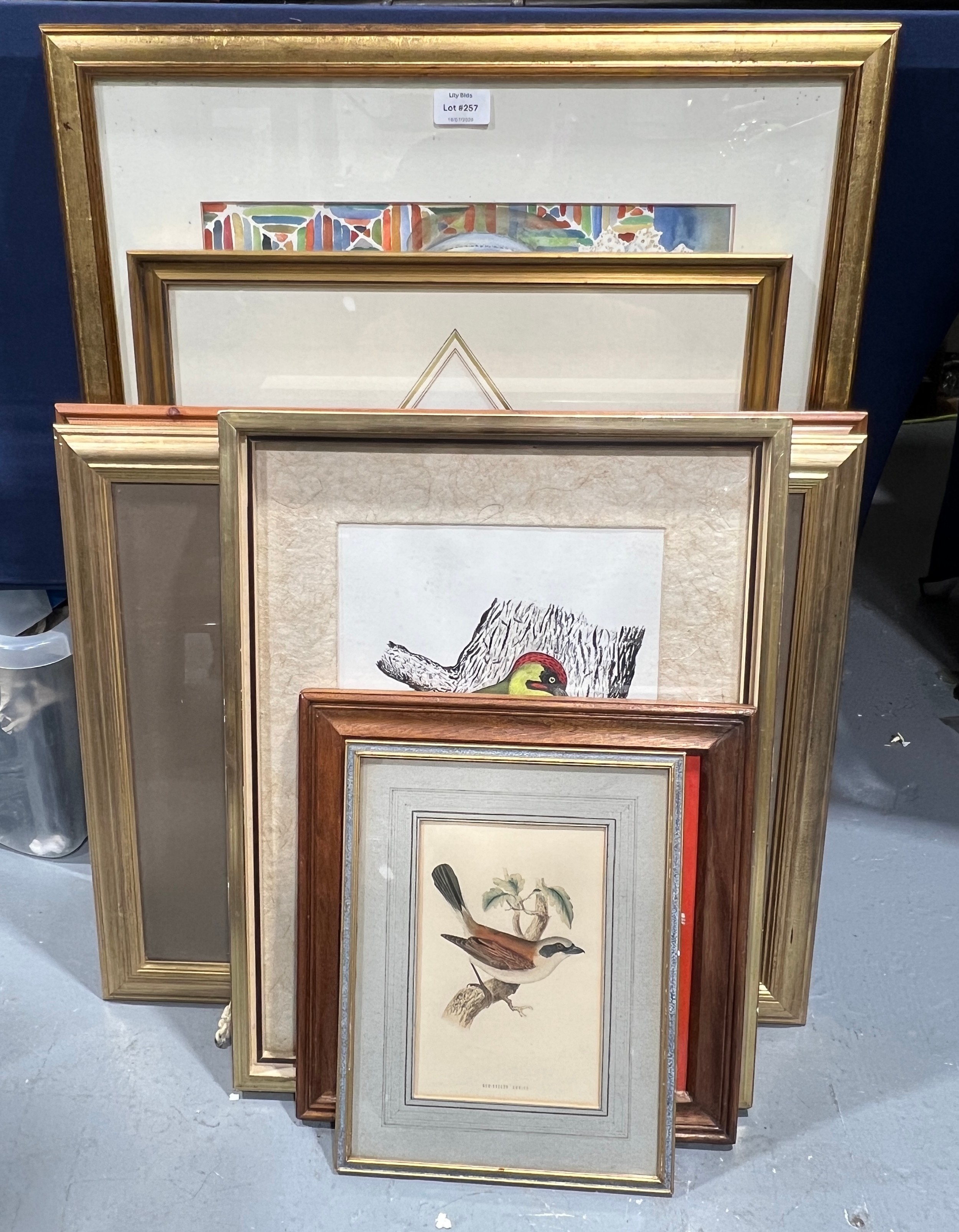 Lot 257