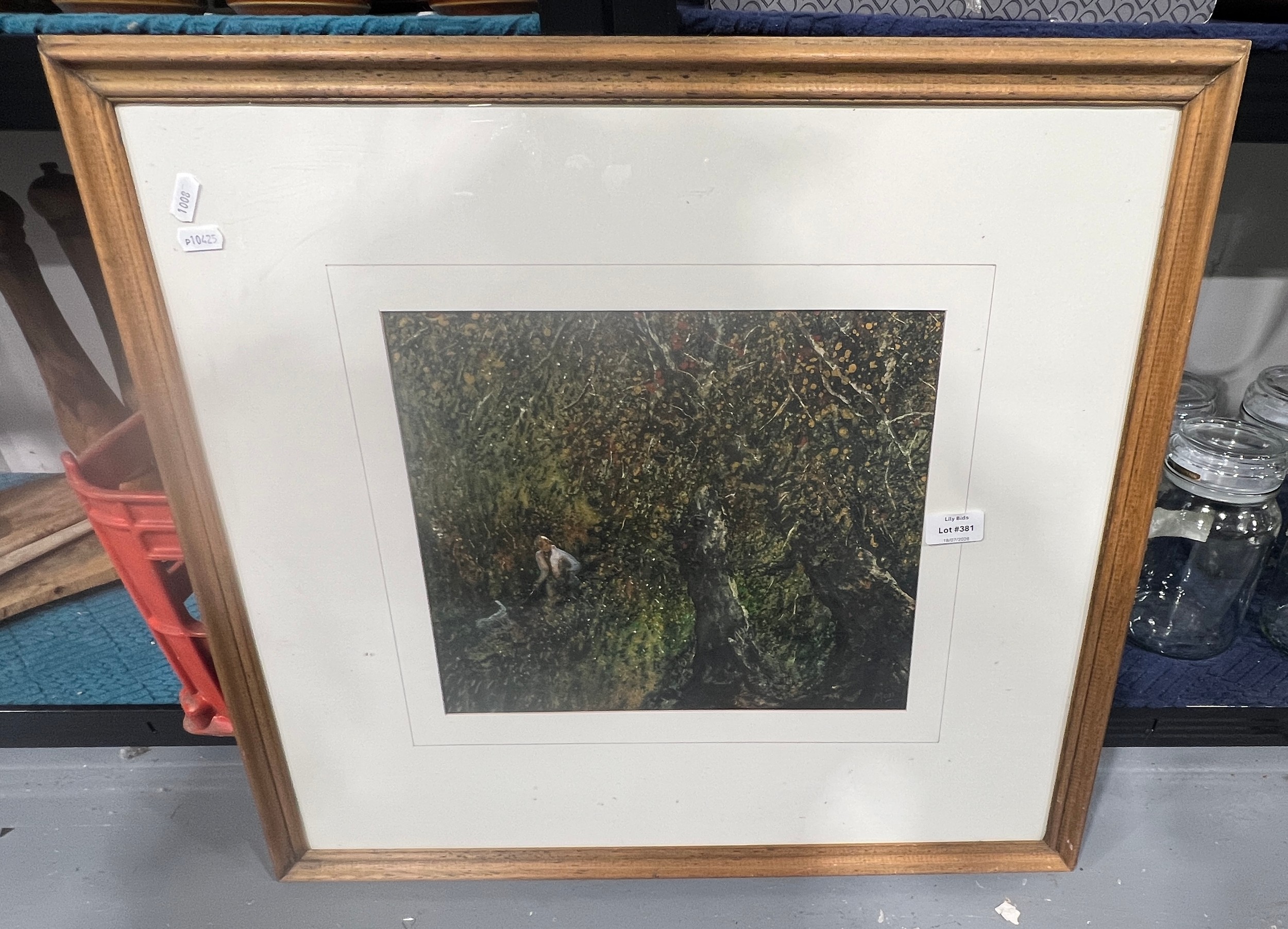 Lot 381