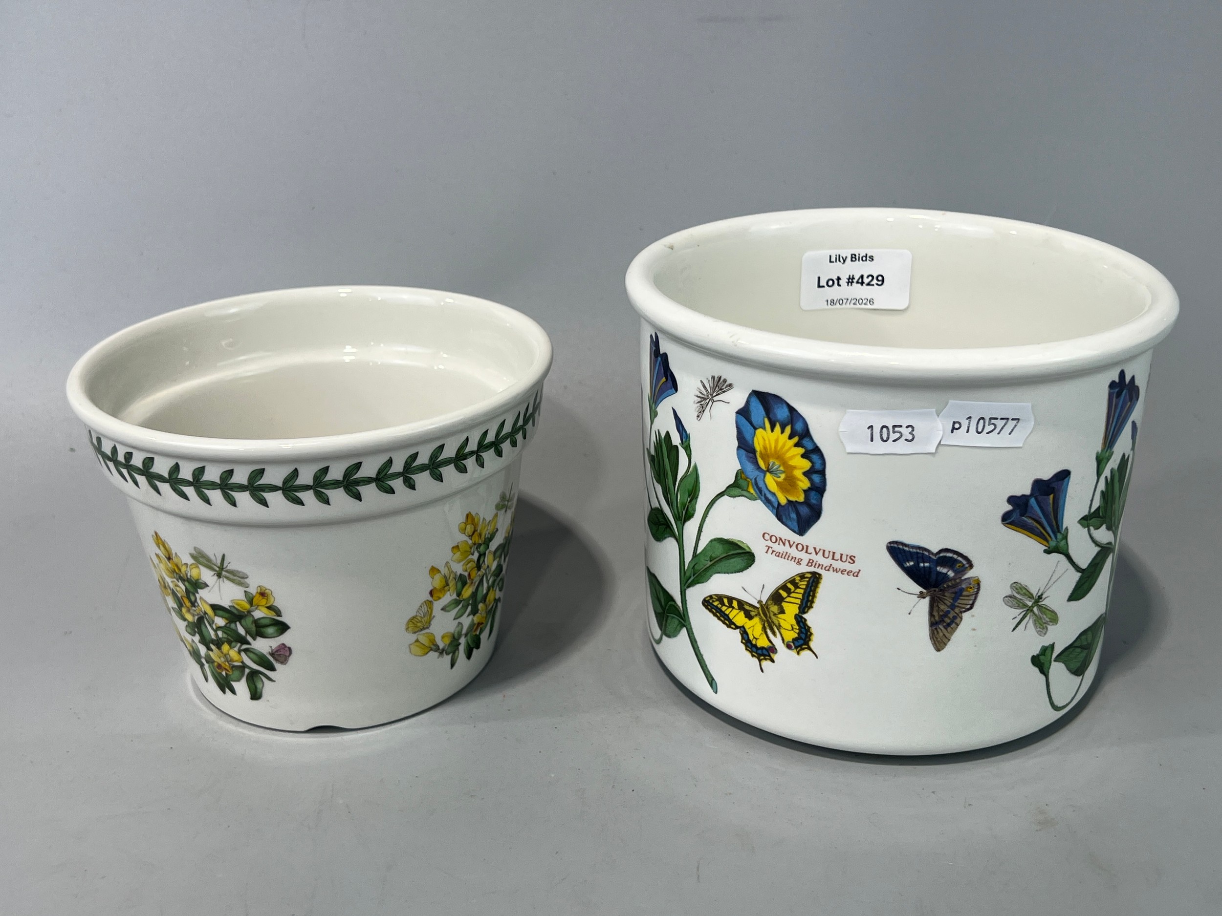Lot 429