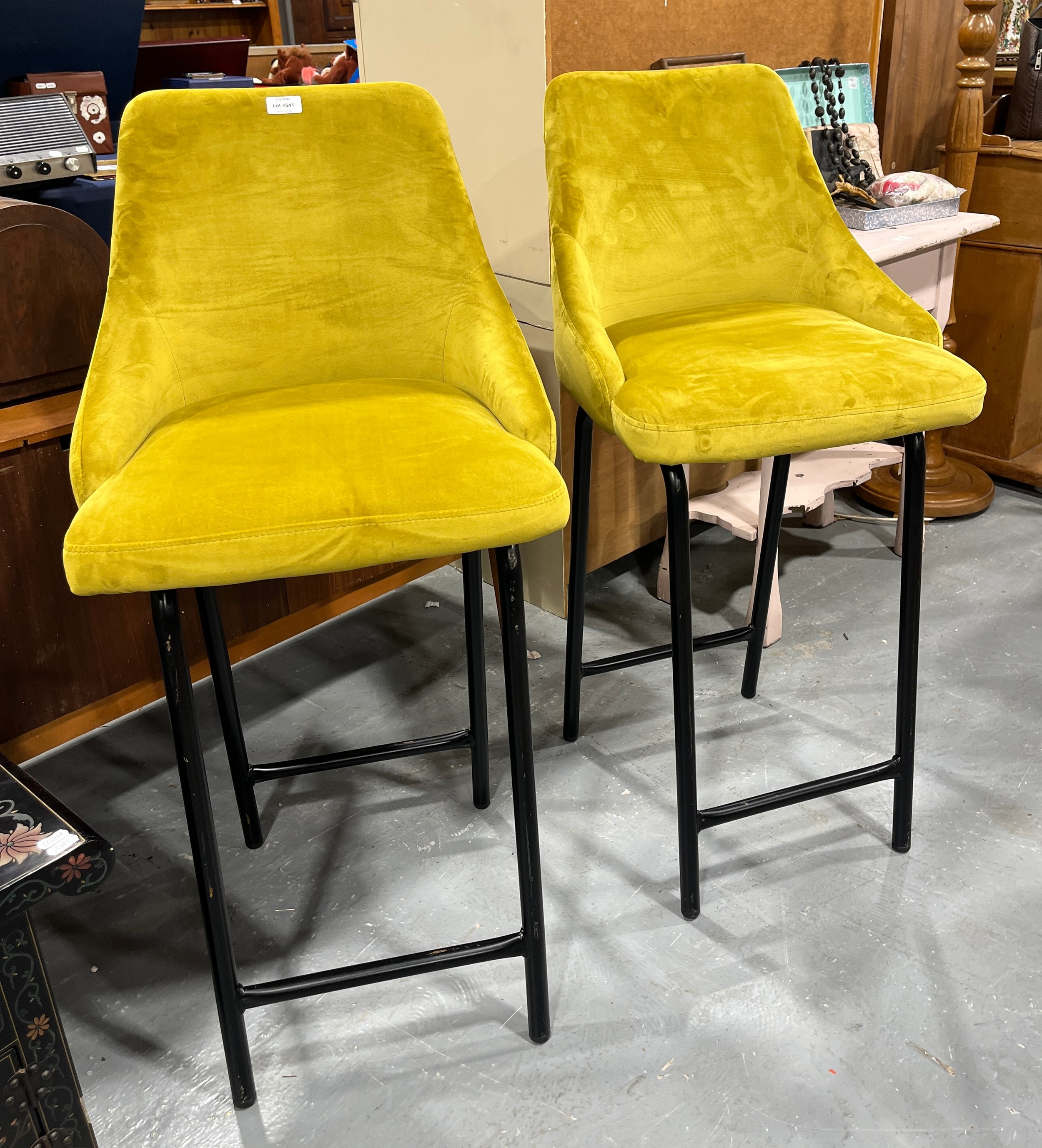 Lot 541