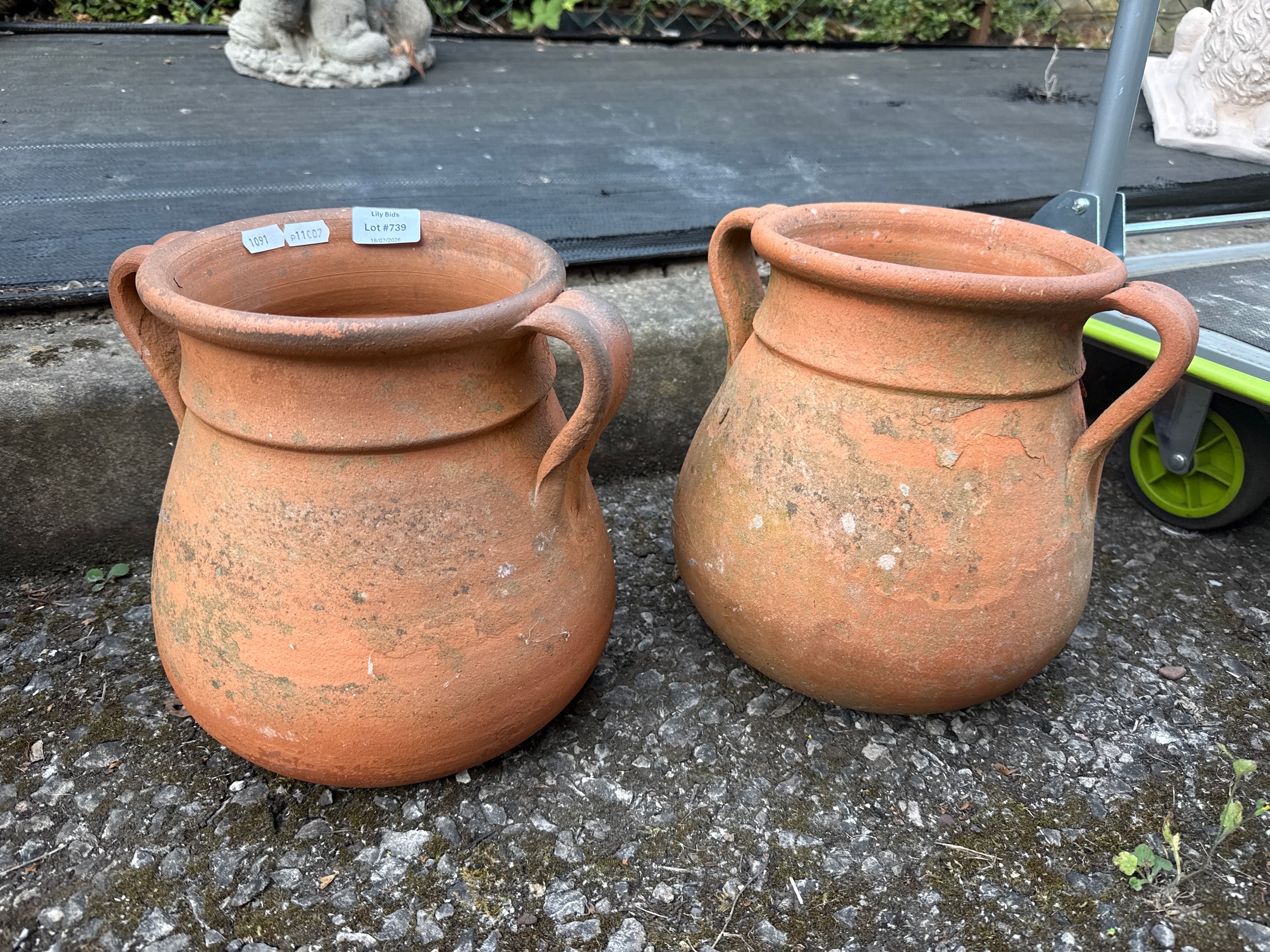 Lot 739