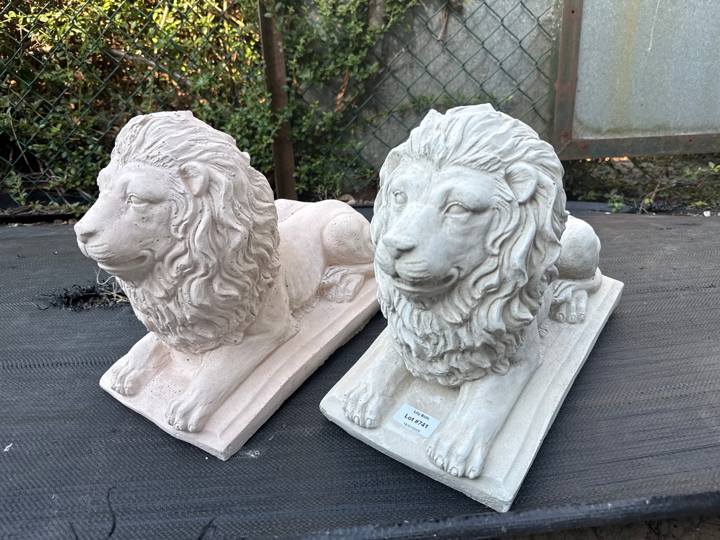 Lot 741