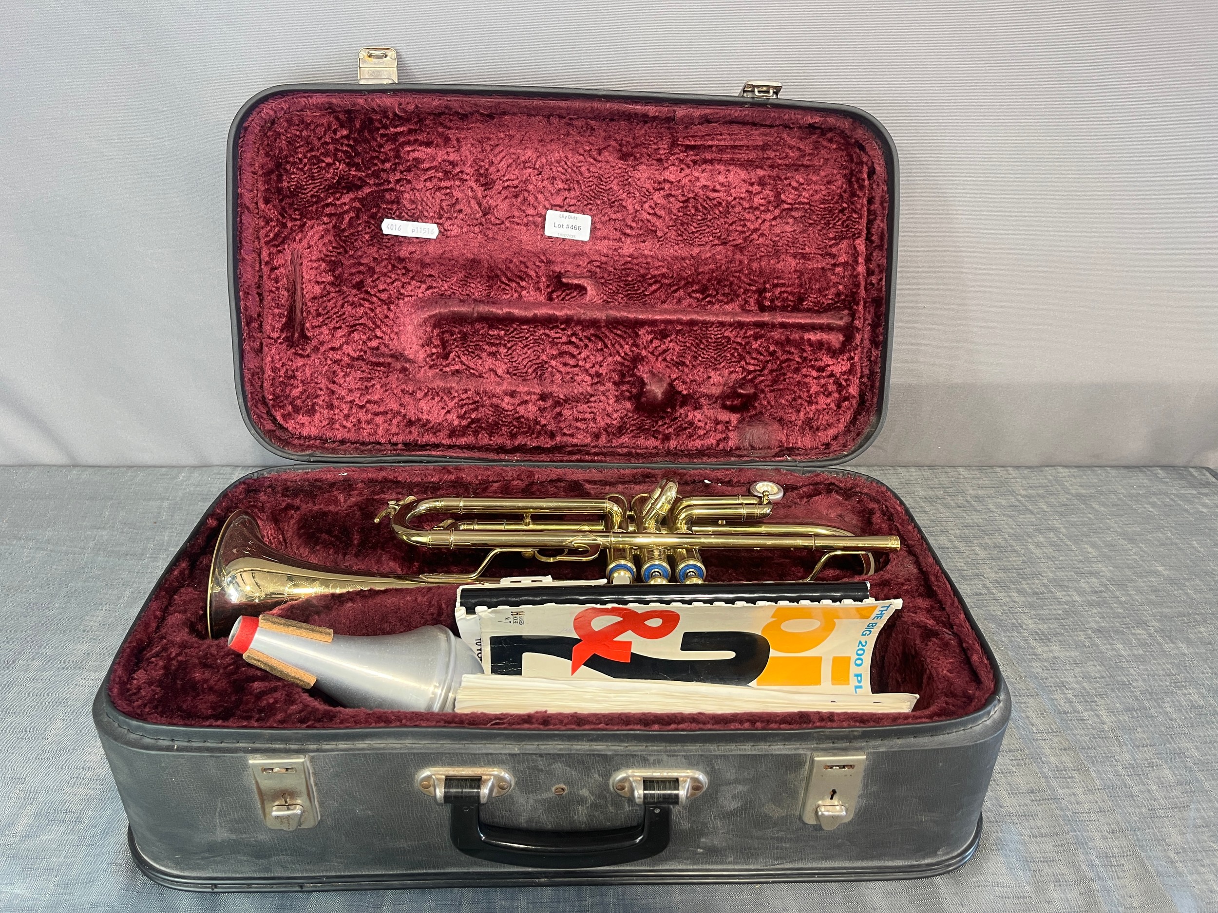 Lot 466