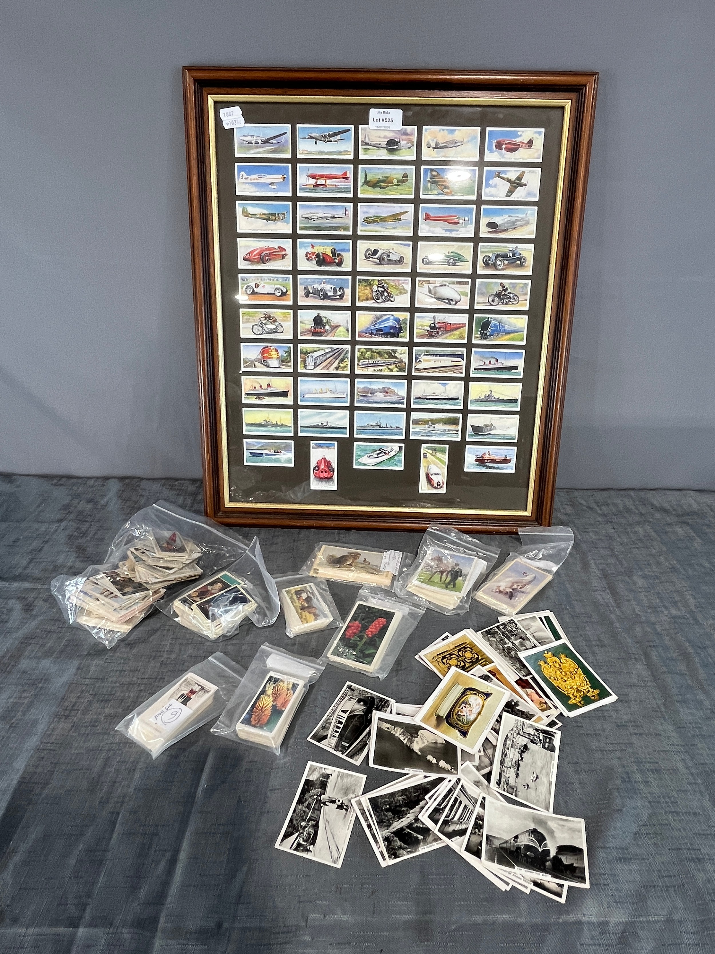 Lot 512