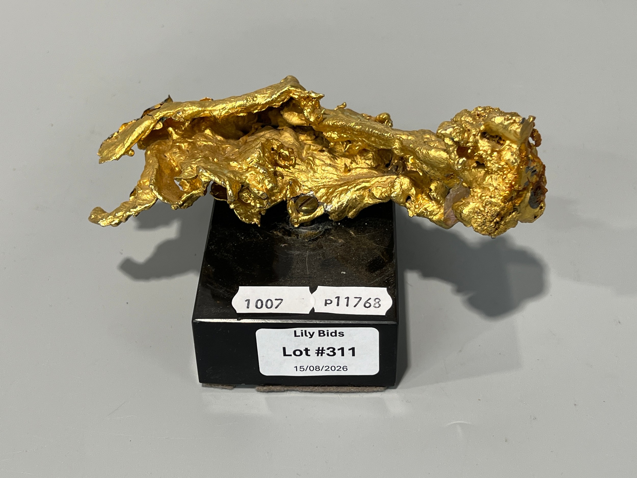 Lot 311