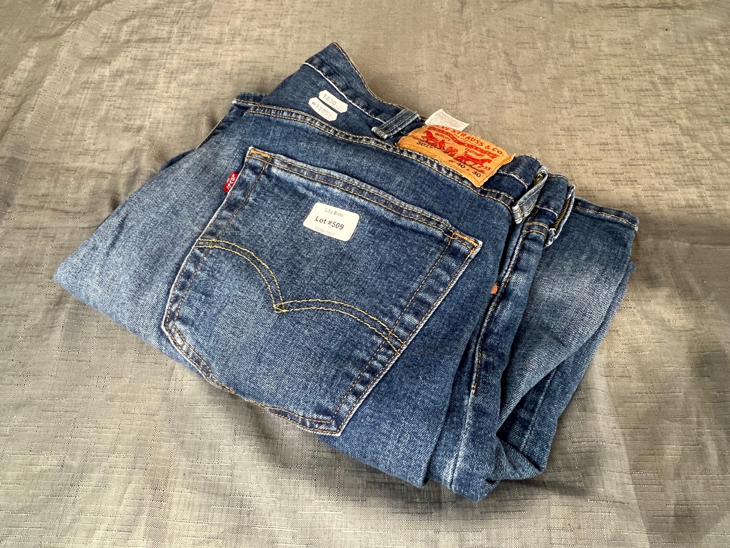 Lot 509
