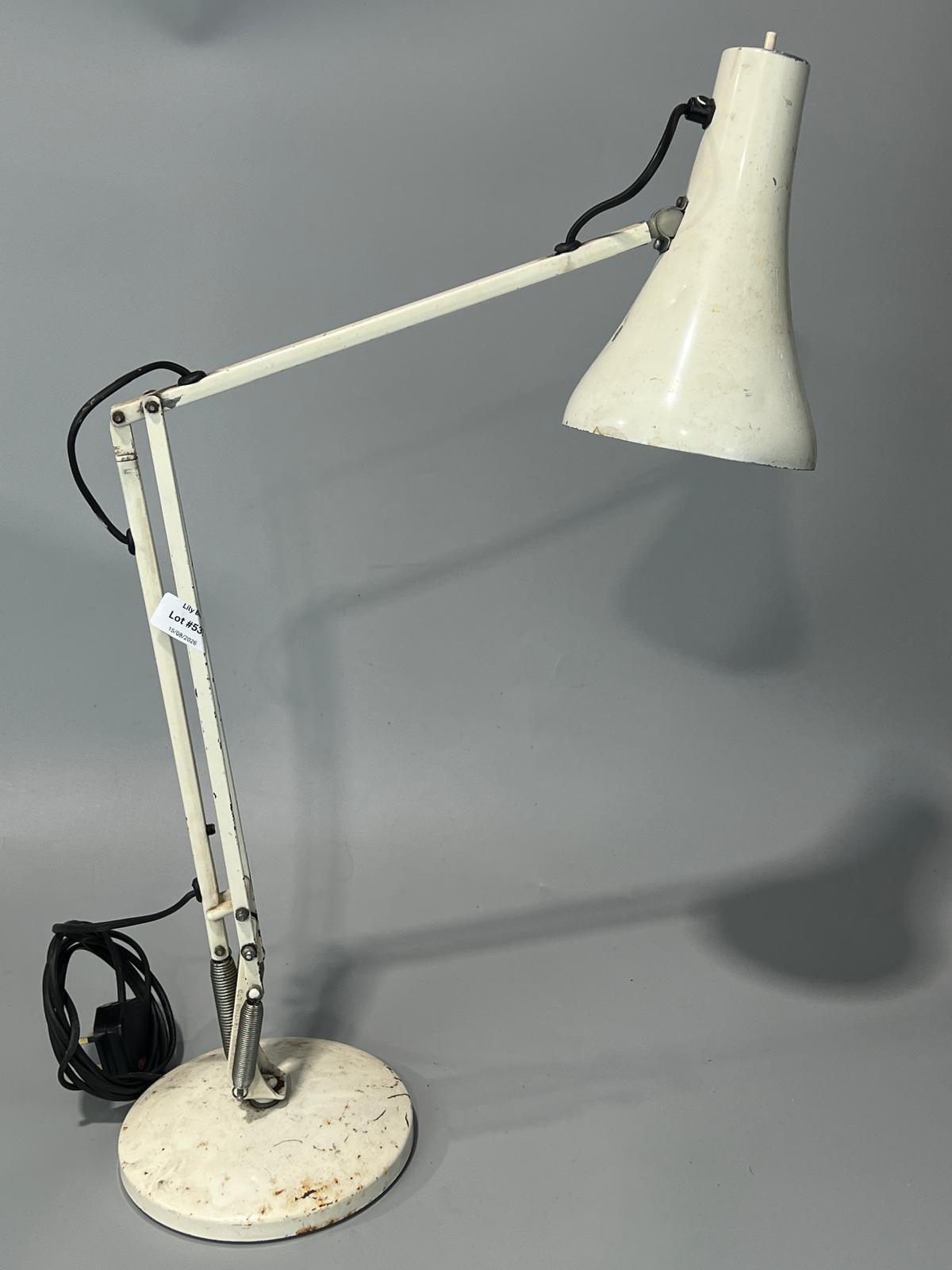 Lot 537