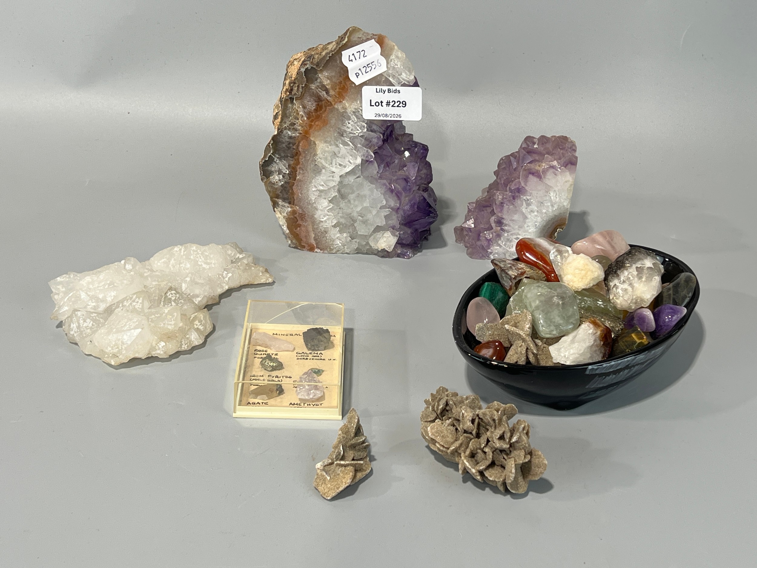Lot 229