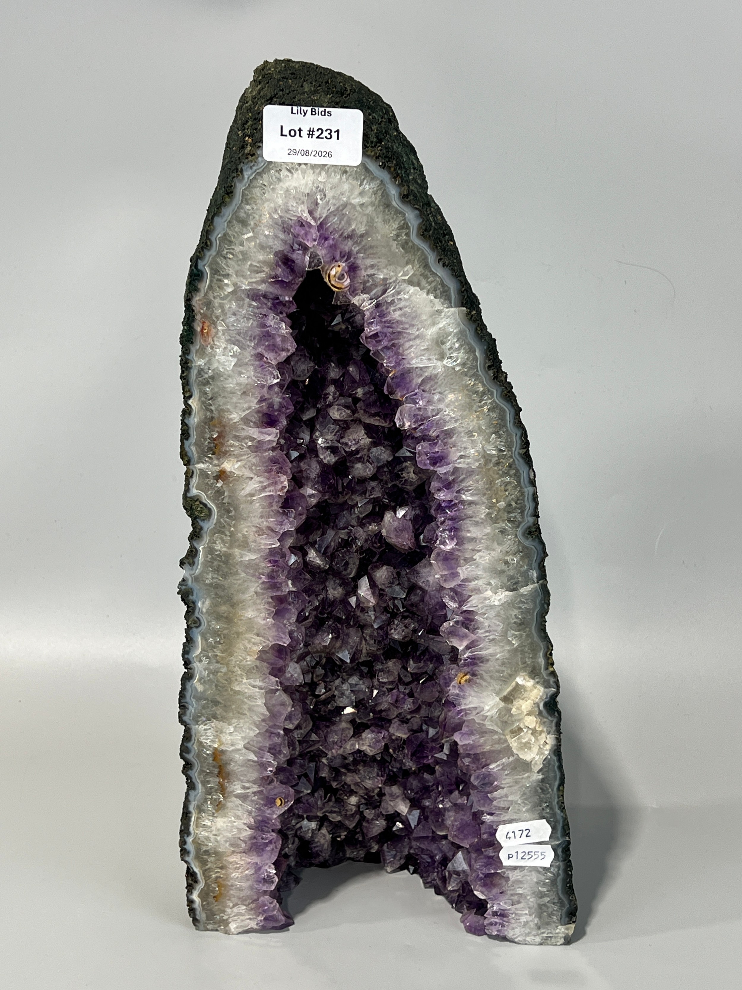 Lot 231