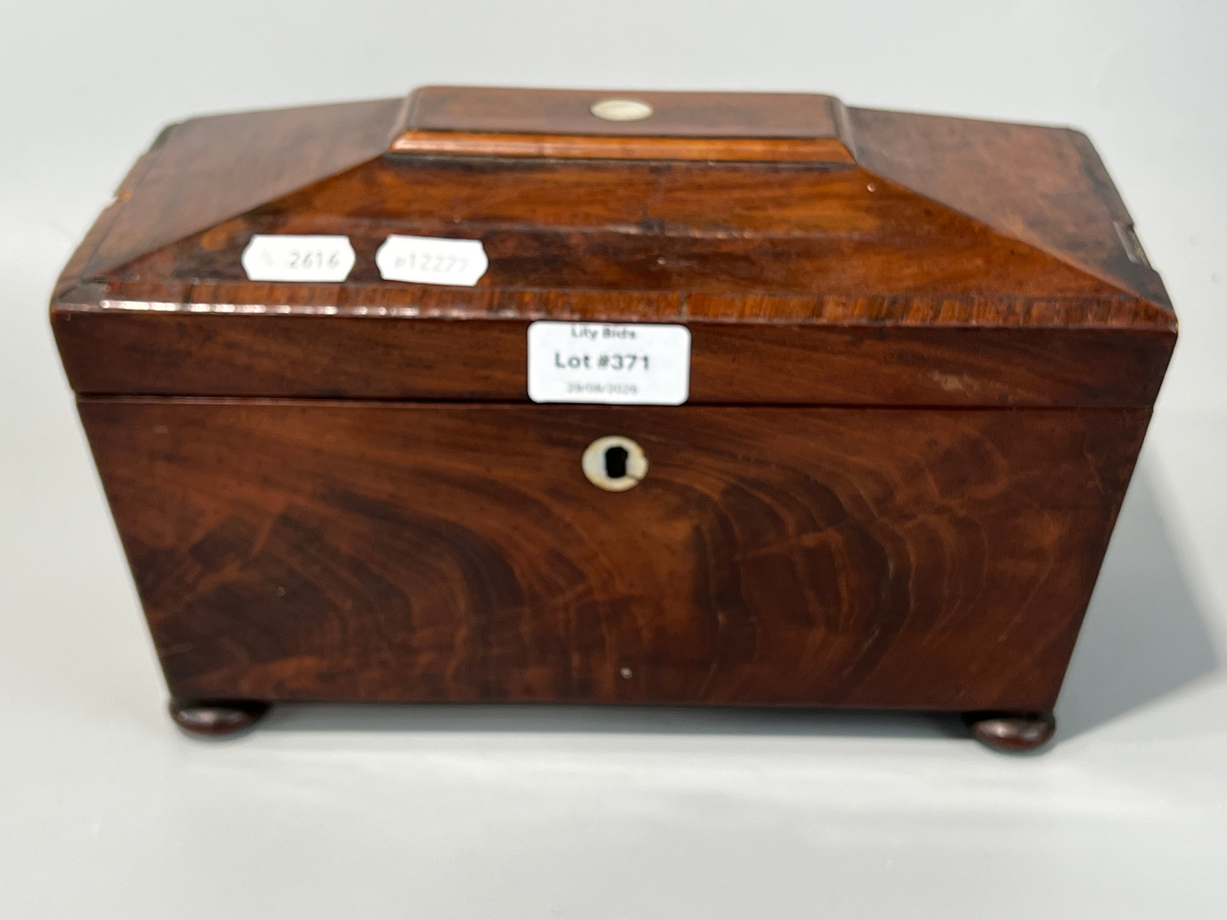 Lot 371