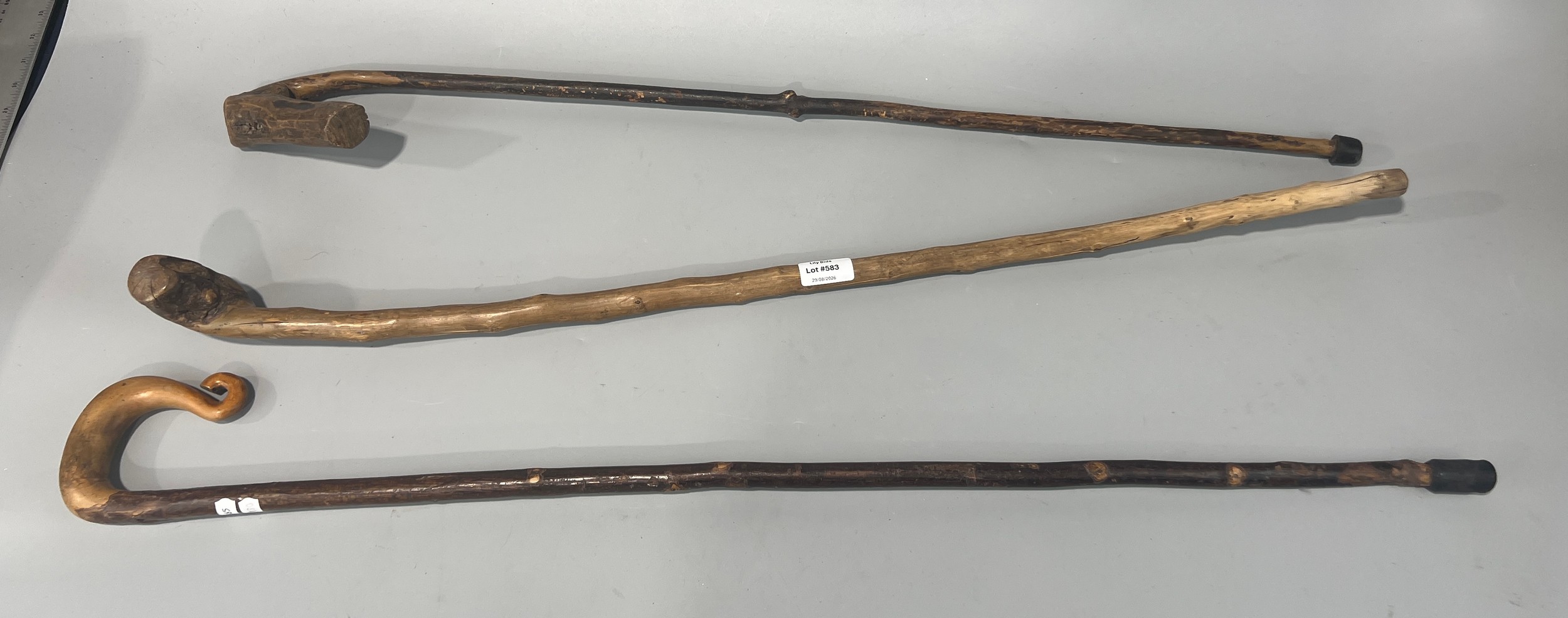 Lot 583