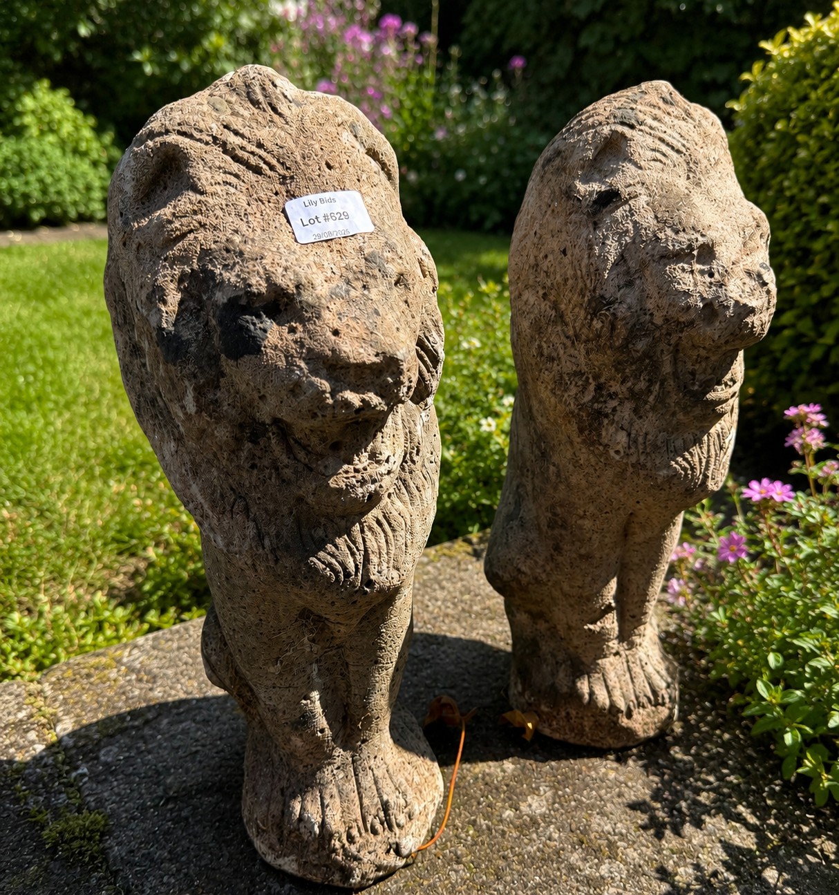 Lot 629