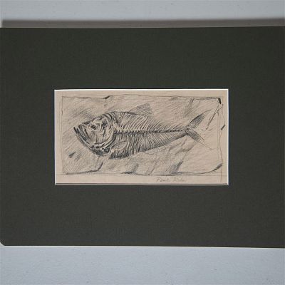 Paul Riba, Original Graphite Drawing on Paper, Fish, Signed. Original graphite on paper drawing 