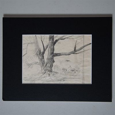 Paul Riba, Original Graphite Drawing on Paper, Tree, Signed. Original graphite on paper drawing 
