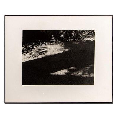 Liria Barbosa, Black & White Photograph, Abstract Nature. Black &amp; white photograph by Liria 