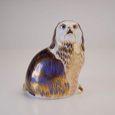 Royal Crown Derby Cavalier King Charles Spaniel Paperweight. A Royal Crown Derby English bone 