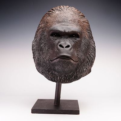 Sandra Brue, Sculpted Silverback Gorilla Head, Life-Size. Sandra Brue, cast composition 