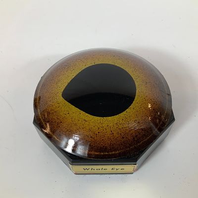 Clara Bartsch Imports Whale Eye Paperweight with Original Case. This taxidermy-style whale eye 