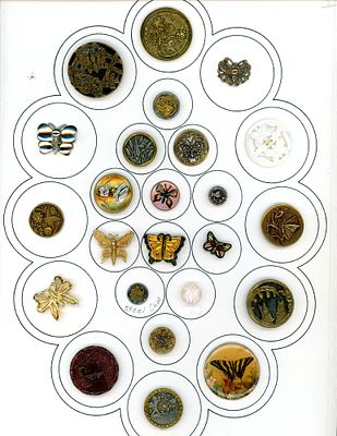 A CARD OF DIVISION ONE AND THREE BUTTERFLY BUTTONS. 24 S/M/L 19th/20th century assorted material 