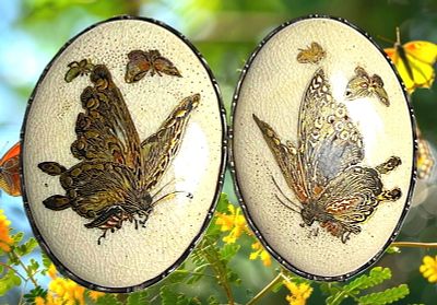 A DIVISION ONE 2 PIECE PICTORIAL BUCKLE. 1 Large two part oval Japanese Satsuma Butterflies 