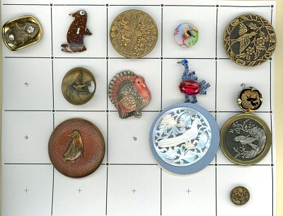 A PARTIAL CARD OF DIVISION 1 & 3 ASSORTED BIRD BUTTONS. 13 S/M/L 19th to 20th century examples 