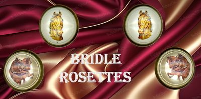 A SMALL SELECTION OF BRIDLE ROSETTES. 4 Large colorful under glass examples in 2 pairs. From the 