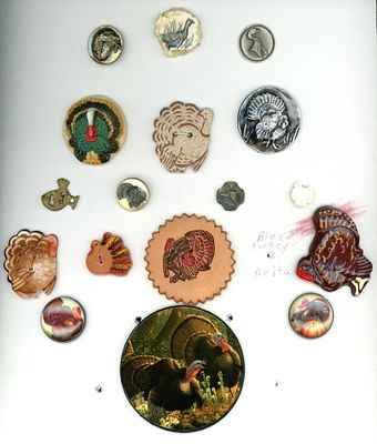 A CARD OF DIVISION THREE TURKEY BUTTONS. 17 S/M/L/EX L 20th century assorted material examples. 