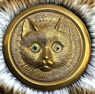 A RARE DIVISION ONE PICTORIAL CAT BUTTON. 1 Large 19th century furry animal with glass eyes. 