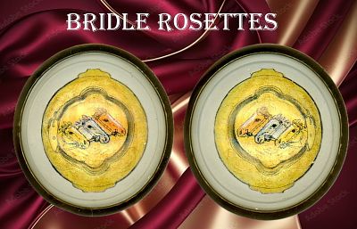 A SMALL SELECTION OF BRIDLE ROSETTES. 2 Large colorful under glass examples as a pair. From the 