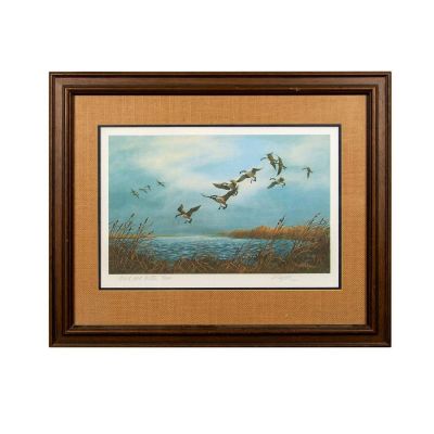 Alice Taylor (American, 20th c.) Lithograph on Paper, Wild and Water. Housed in a wooden frame 