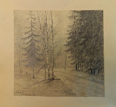 Новиков К. Сосновый бор. 1974 год. Бумага, карандаш. Размер: 20,5 х 22,5 см. Работа в хорошем 