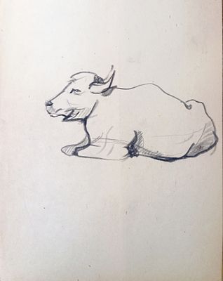 Скрадаль ? Бык. 1950-1960-е годы. Бумага, карандаш. Размер : 27х 21 см. Работа в хорошем состоянии.