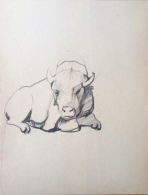 Скрадаль ? Бык. 1950-1960-е годы. Бумага, карандаш. Размер : 27х 21 см. Работа в хорошем состоянии.