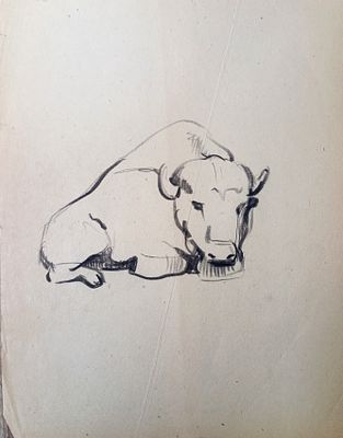 Скрадаль ? Бык. 1950-1960-е годы. Бумага, карандаш. Размер : 27х 21 см. Работа в хорошем состоянии.