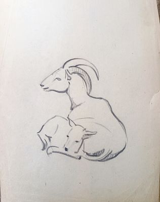 Скрадаль ? Козы. 1950-1960-е годы. Бумага, карандаш. Размер : 27х 21 см. Работа в хорошем 