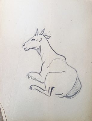 Скрадаль ? Антилопа. 1950-1960-е годы. Бумага, карандаш. Размер : 27х 21 см. Работа в хорошем 