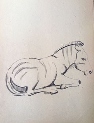 Скрадаль ? Зебра. 1950-1960-е годы. Бумага, карандаш. Размер : 27х 21 см. Работа в хорошем 