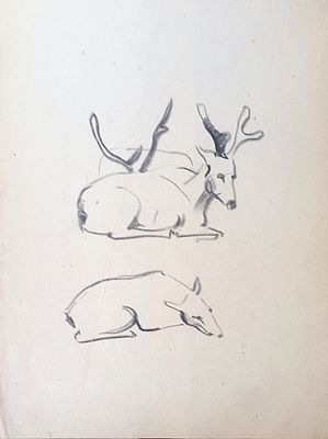 Скрадаль ? Олени. 1950-1960-е годы. Бумага, карандаш. Размер : 26,5х 20,5 см. Работа в хорошем 