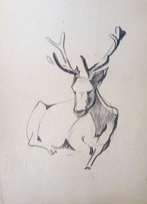 Скрадаль ? Олень. 1950-1960-е годы. Бумага, карандаш. Размер : 26,5х 20,5 см. Работа в хорошем 