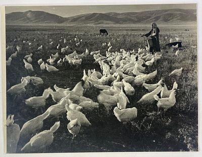 Фото. Птичница. Киргизия. 1940-е гг. Размер: 14 х 19 см.