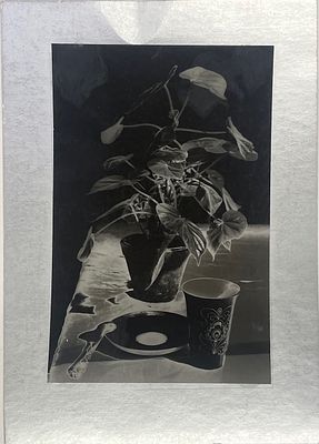 Фотогр. Степанов Олег. Натюрморт. 1990-е гг. Фото. Размер: 21 х 13,5 см.
. Фото в хорошем 